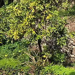 Bed & Breakfast Soutariba