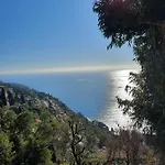 Soutariba