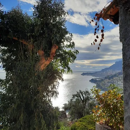 Soutariba