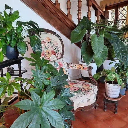 Soutariba Bed & Breakfast