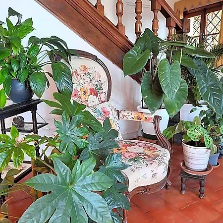 Soutariba Alojamento de Acomodação e Pequeno-almoço Roquebrune-Cap-Martin