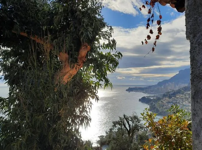 Soutariba